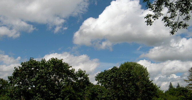 Announcements October 29, 2017  image