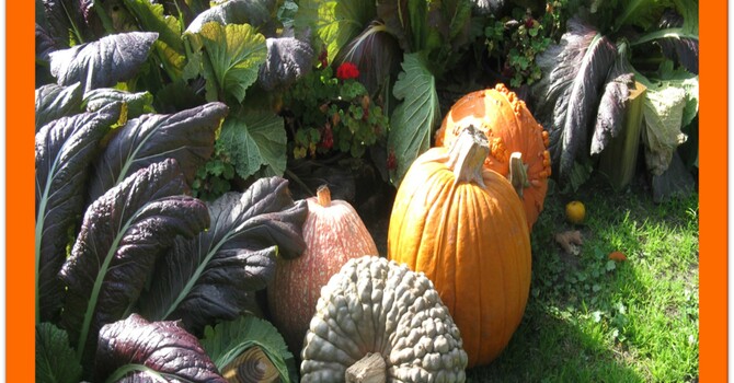 Announcements - October 13, 2019 image