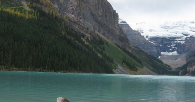 Announcements July 17, 2016 image