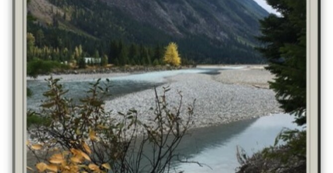 Announcements - February 2, 2020 image