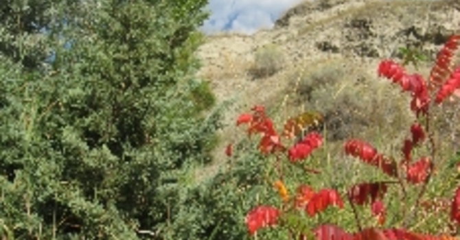 Announcements August 14, 2016 image