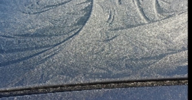 Announcements November 20, 2016 image