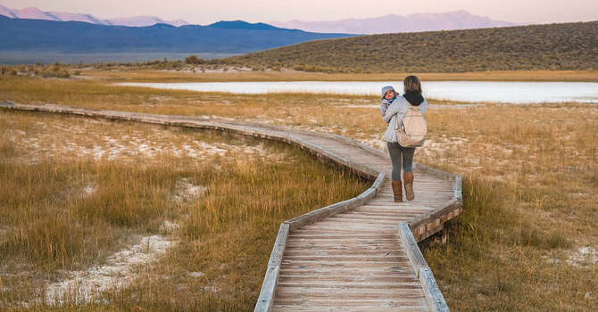 Planting Seeds, Growing Kids