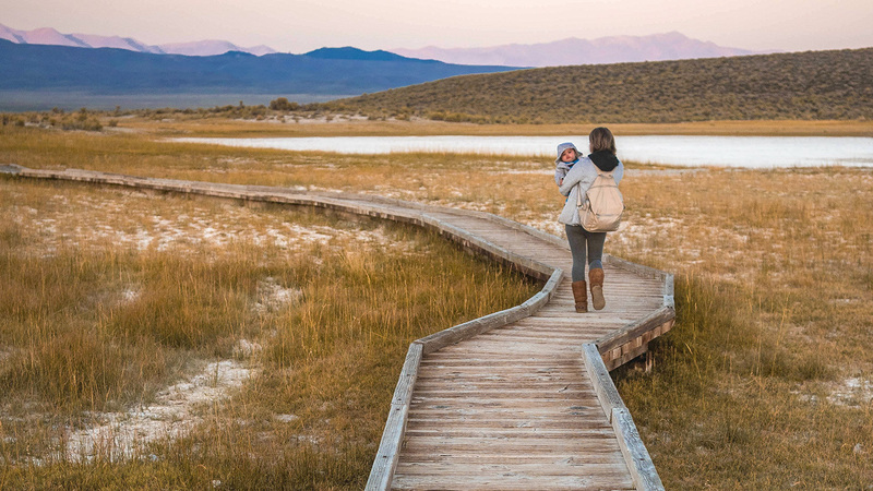 Planting Seeds, Growing Kids