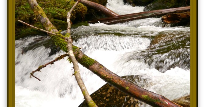 Announcements - March 15, 2020 image