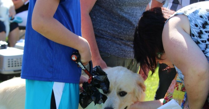 Announcements - May 12, 2019 image