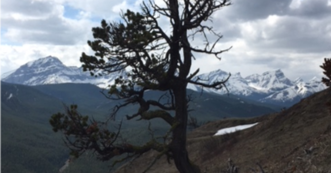 Announcements July 22, 2018 image