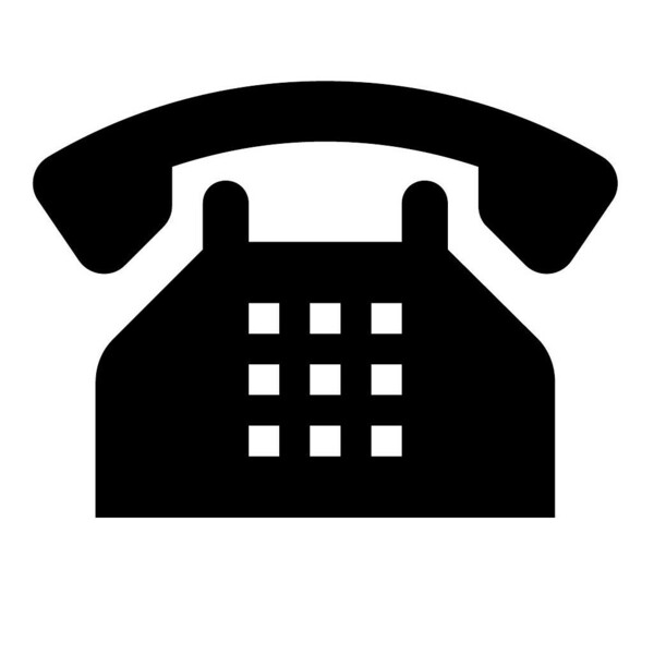 You can call in to the Zoom service