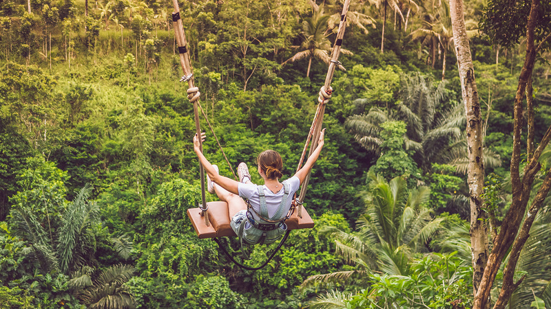 It's a Jungle Out There