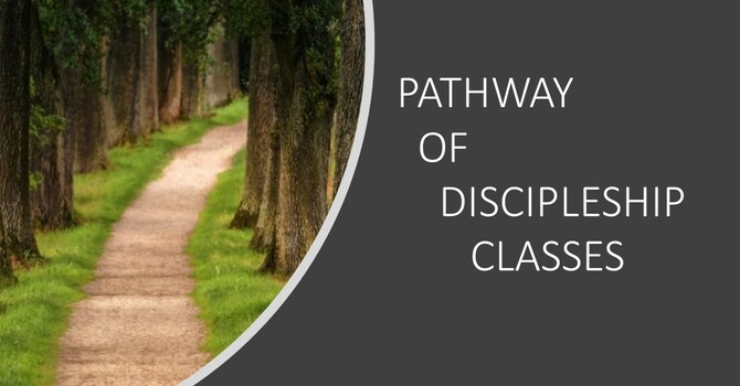 Pathway of Discipleship 401 image
