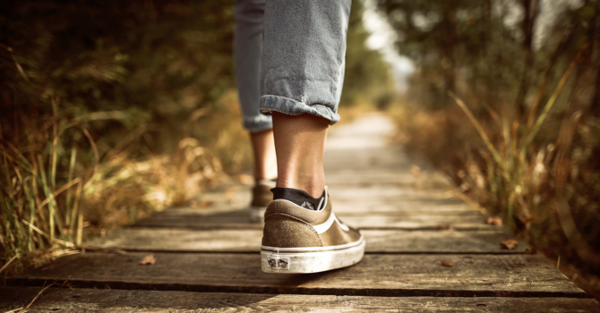 Weekly Devotional image