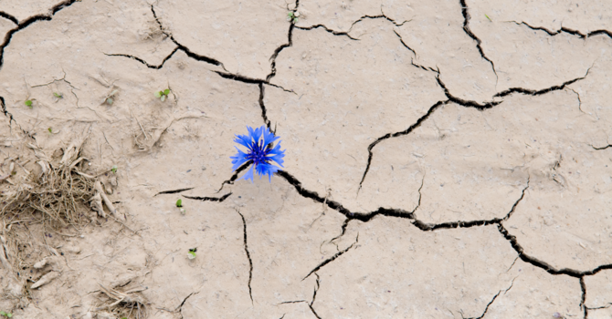 God's People in Tough Times