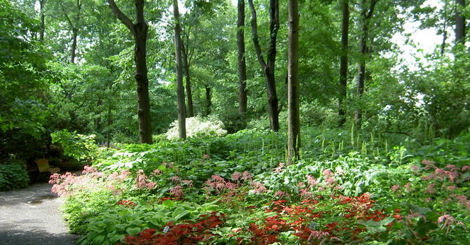 Announcements December 17, 2017 image