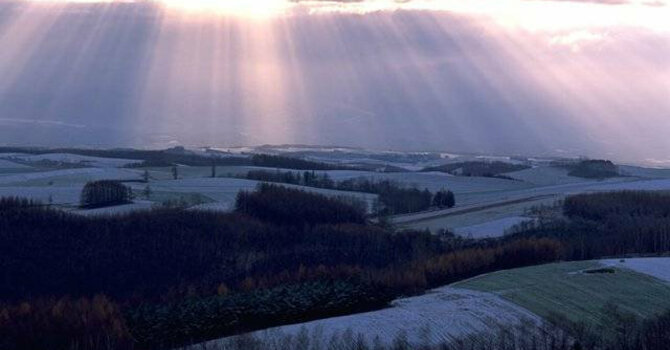 Announcements November 22, 2015 image