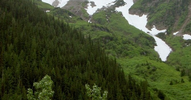 Announcements December 3, 2017 image