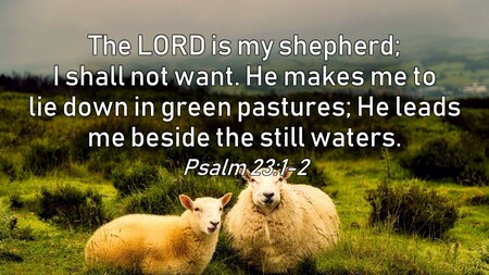 Funerals & Memorials