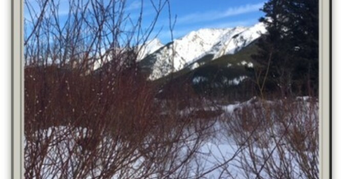 Announcements - January 26, 2020 image