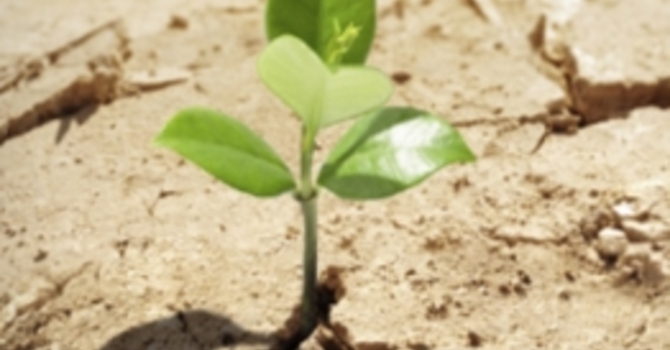 Announcements November 27, 2016 image