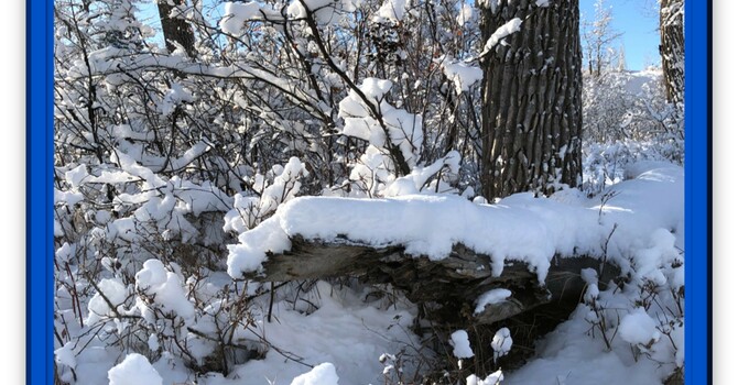 Announcements - January 19, 2020 image