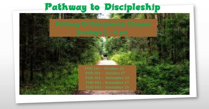 Pathway to Discipleship image
