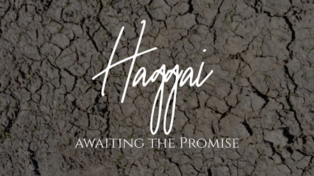 Haggai Series
