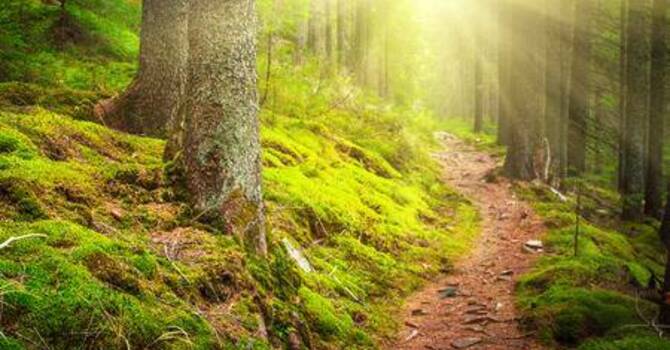 Pathway of Discipleship Class 301 image