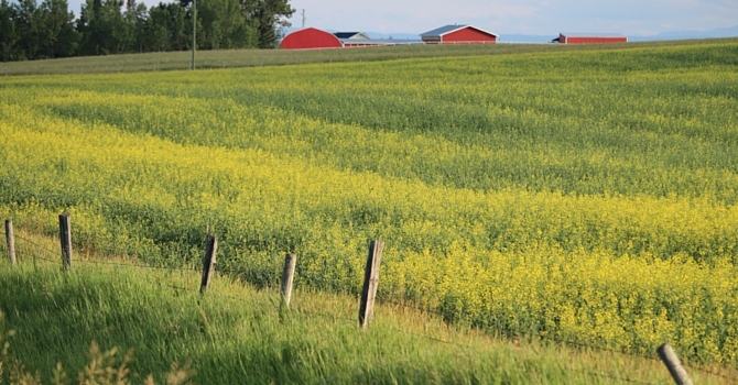 Announcements for Sunday September 20, 2015 image