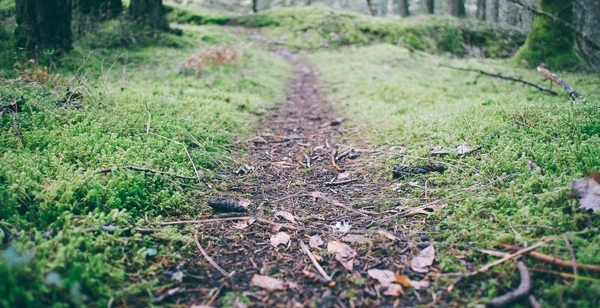 The Unkown God - Trinity in the New Testiment