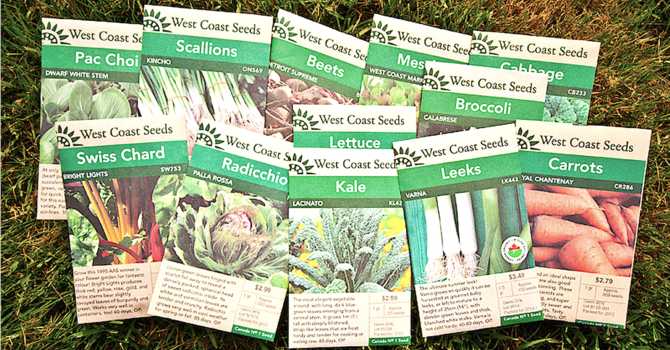 a time for opening up to more image