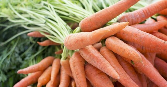 Accessible Allotment Garden available image