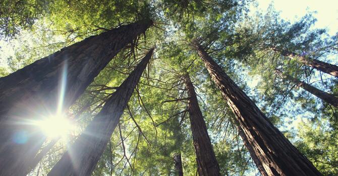 when? ... it's not for you to know