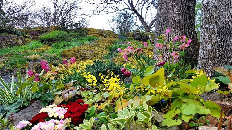 In the darkness before dawn