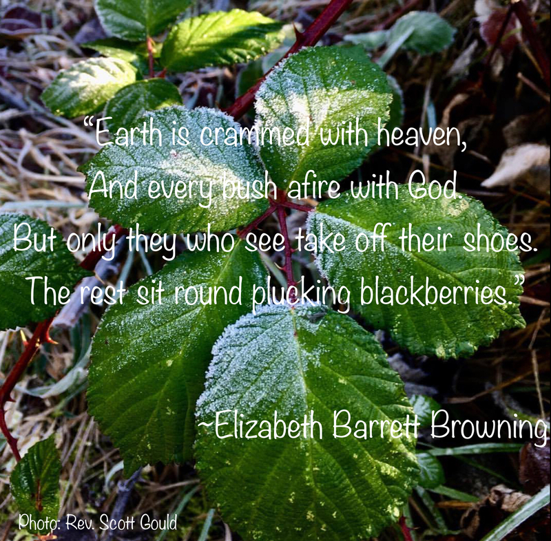 "Earth is crammed with heaven"