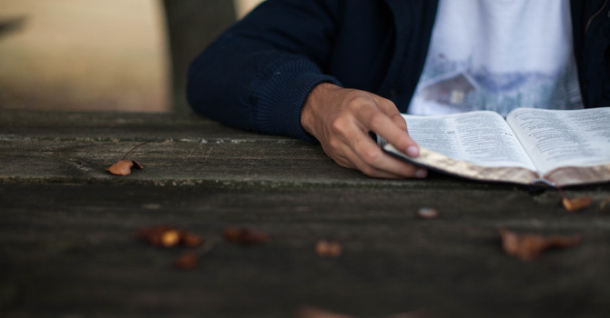 Bible Study - The Story image