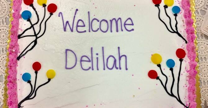 Welcome to Delilah image