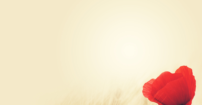 Sunday Bulletin - November 13, 2016 image