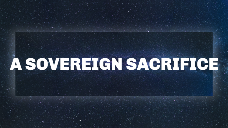 PM Service/ Sovereign King