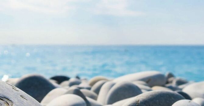 We Are Lambrick ~ Summer 2019 image