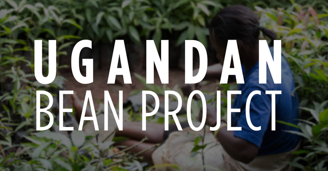 Ugandan Bean Project image