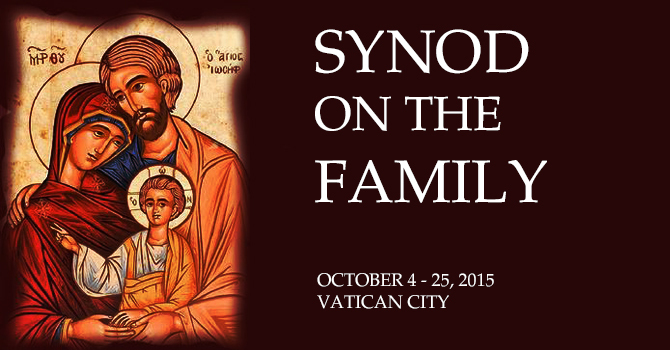 Synod on the Family image