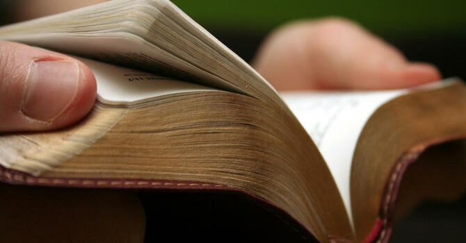 Scripture Reading Plan image