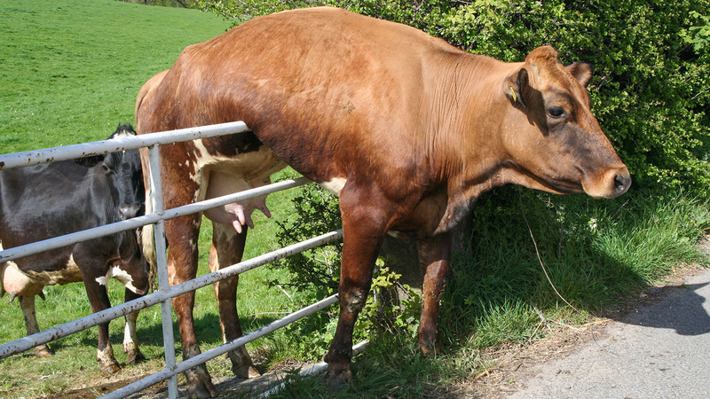 Being an Unstuck Church