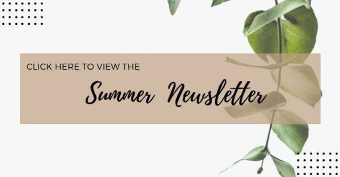 Summer Newsletter  image