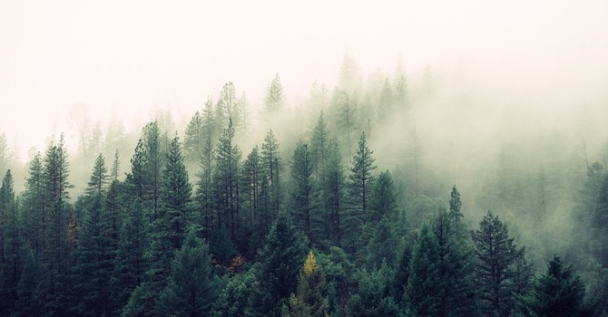 Lent - Preparing for Easter image