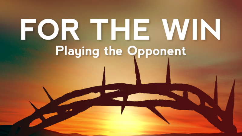 Playing the Opponent