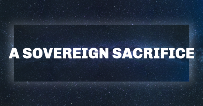 PM Service/ Sovereign King