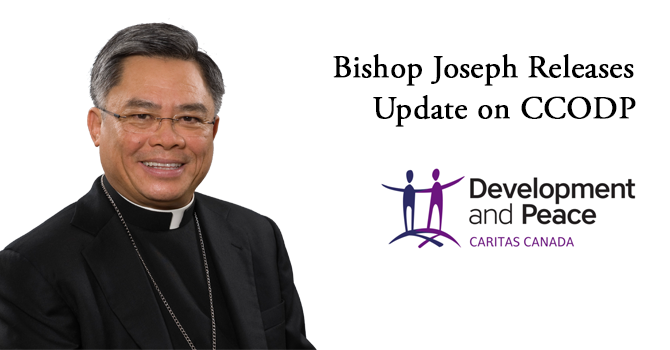 Bishop Joseph's Update on CCODP image