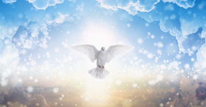 May 29, 2020 Newsletter image