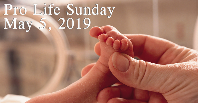 Pro Life Sunday