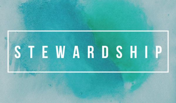 Stewardship